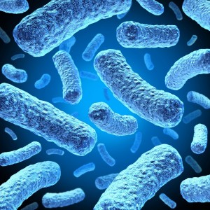 Cum influențează microbiota intestinală eficiența terapiilor în cancer?