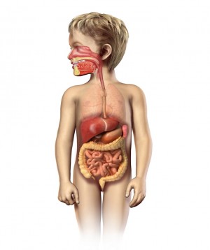 Cancerul hepatic: Hepatoblastomul