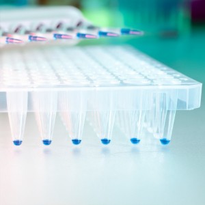 O nouă clasă de molecule poate împiedica reapariția cancerului