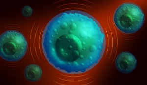 Noile descoperiri cu privire la modul de comunicare al celulor imune ar putea duce la dezvoltarea unui vaccin împotriva cancerului