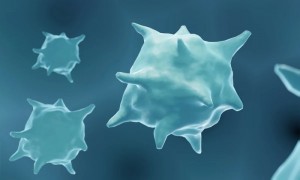 Acidul lactic determină celulele imunitare să contribuie la răspândirea cancerului în organism