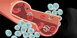 Bacterii speciale controlate cu magneți, folosite pentru distrugerea eficientă a celulelor canceroase