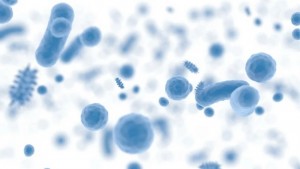 Bacteriile au un rol specific în cancer