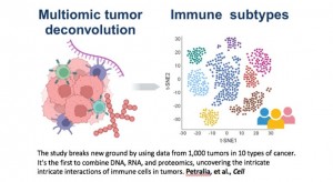 Cercetătorii caracterizează peisajul imunitar în cancer