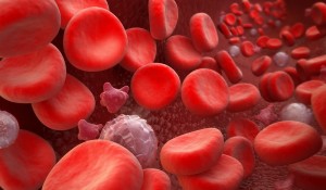 Eradicarea selectivă a cancerului hematologic cu hematopoieza conservată