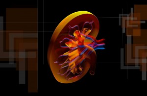 Nou tratament cu anticorpi pentru cancerul renal