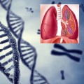 Gena care oprește răspândirea cancerului pulmonar, descoperită