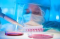 Cercetătorii au descoperit vulnerabilitatea celulelor canceroase pancreatice agresive