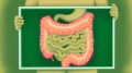 Mecanismul prin care imunoterapia împotriva cancerului cauzează probleme gastrointestinale