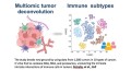Cercetătorii caracterizează peisajul imunitar în cancer