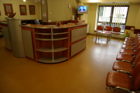 Clinica Polisano Constituției Clinica Polisano Constituției