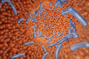 Riscul de cancer de colon ar putea fi prezis prin analiza bacteriilor intestinale