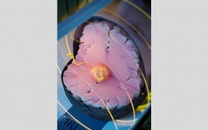 Un dispozitiv magnetic de dimensiuni reduse ar putea ucide cancerul