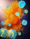 Abordări ale genomului pentru obținerea de imunoterapii mai eficiente împotriva cancerului
