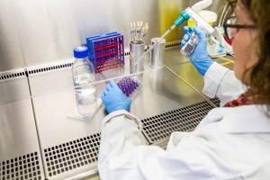 Lupta împotriva cancerului: virusul herpes modificat genetic, o potențială nouă terapie