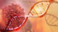 Evaluarea testelor de sânge pe bază de ADN acelular pentru detectarea precoce a mai multor tipuri de cancer