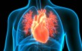 Medicamentele pentru cancer afectează proteinele din sânge, sporind riscul de boli cardiovasculare: implicațiile pentru tratamentul bolilor de inimă ș