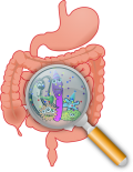 Microbiomul intestinal ar putea afecta răspunsul la tratamentul pentru cancer
