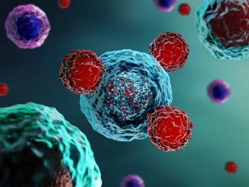 Cercetătorii au dezvoltat o armură pentru celulele care luptă împotriva cancerului
