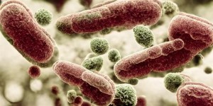 Microbiomul ar putea deține „cheia” diagnosticării și tratării cancerului de căi biliare