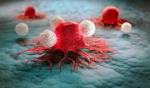 O nouă tehnologie crește vizibilitatea celulelor canceroase pentru sistemul imunitar